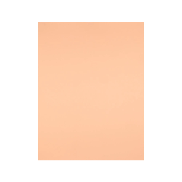 Liderpapel Cartulina Sepia 50x65 cm 240g/m2 para Dibujo y Manualidades 1