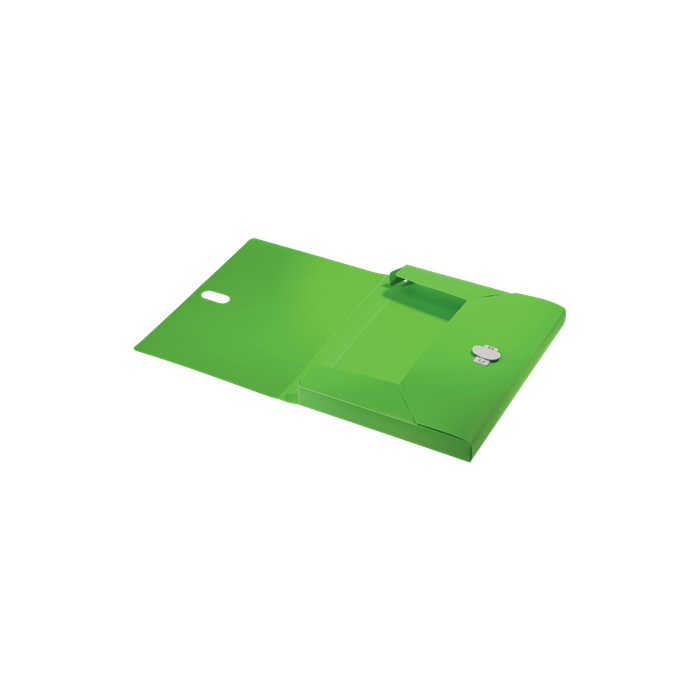 Leitz Carpeta de Proyectos Recycle DIN A4 Polipropileno Lomo 38 mm Verde 4