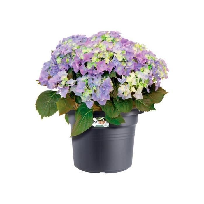 Jardinera Elho Green Basics Cilinder 55 - Negro - Ø 54 x H 41 cm - exterior - 100% reciclado 3 Jardinera Elho Green Basics Cilinder 55 - Negro - Ø 54 x H 41 cm - exterior - 100% reciclado 3