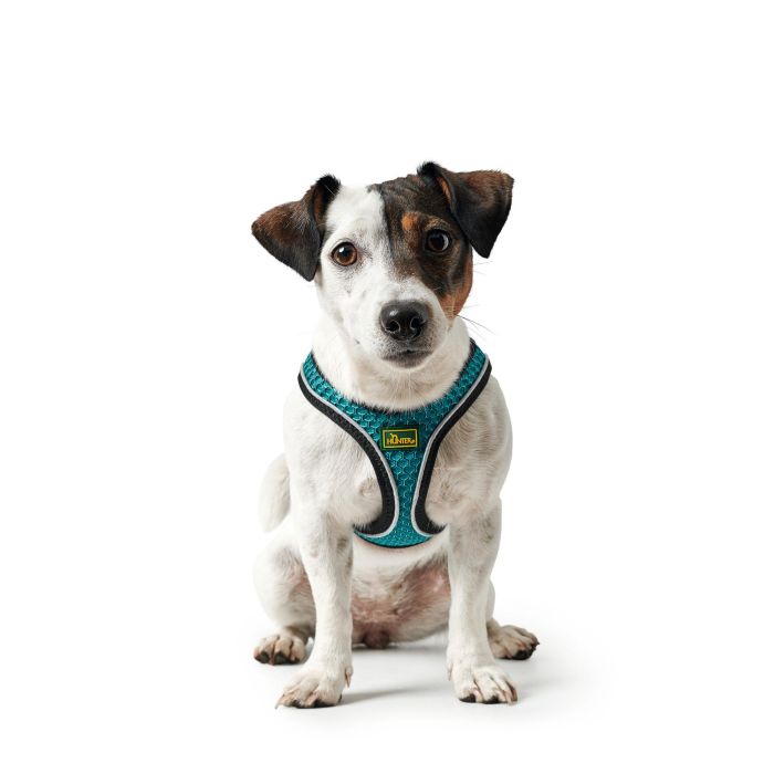 Hunter Arnés Hilo Comfort M Malla 3D Turquesa Cuello 55-60 cm Pecho 58-65 cm 2
