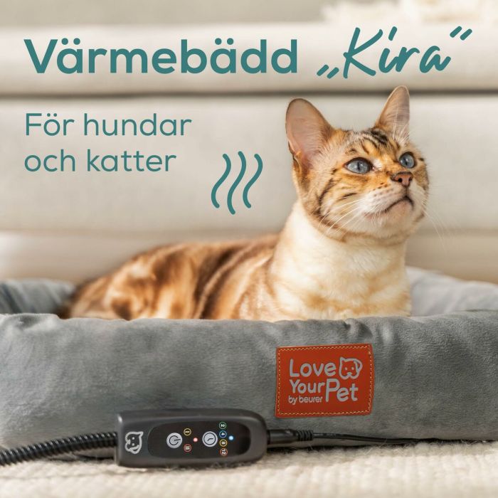 Hidrolimpiadora Beurer PP250 KIRA Gris 0 Hidrolimpiadora Beurer PP250 KIRA Gris 0