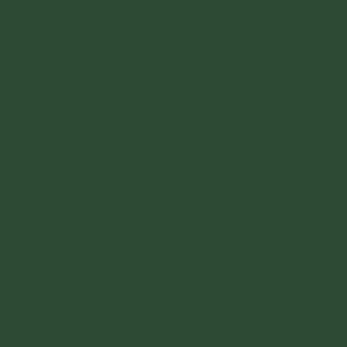 RIPOLIN Pintura para Madera Satinada Alta Protección 10 años que Protege y Magnifica tu Madera - Verde Vasco 3 RIPOLIN Pintura para Madera Satinada Alta Protección 10 años que Protege y Magnifica tu Madera - Verde Vasco 3