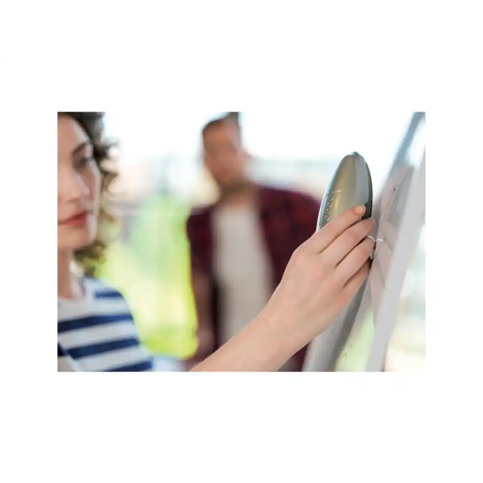 Borrador De Pizarras De Cristal Nobo Plata 4