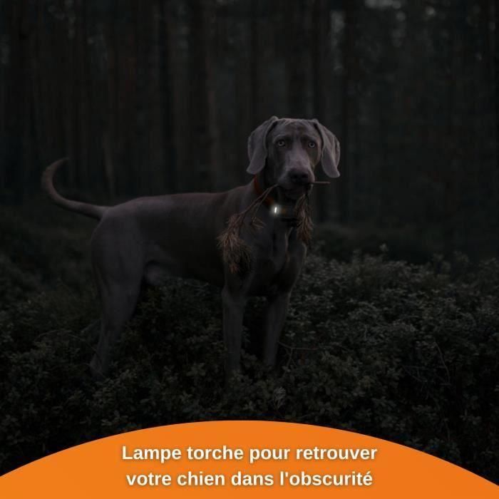 GPS Tracker for Dogs - Weenect XS (Black Edition 2023) 1 GPS Tracker for Dogs - Weenect XS (Black Edition 2023) 1