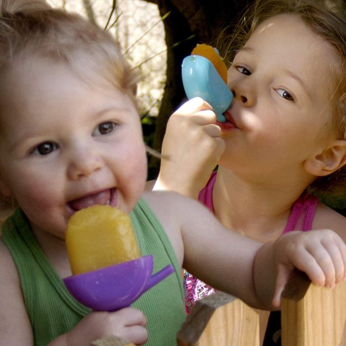 Privilege Molde 4 Polos, 21 cm Largo x 15.5 cm Ancho x 8.8 cm Alto (24 Unidades) 1