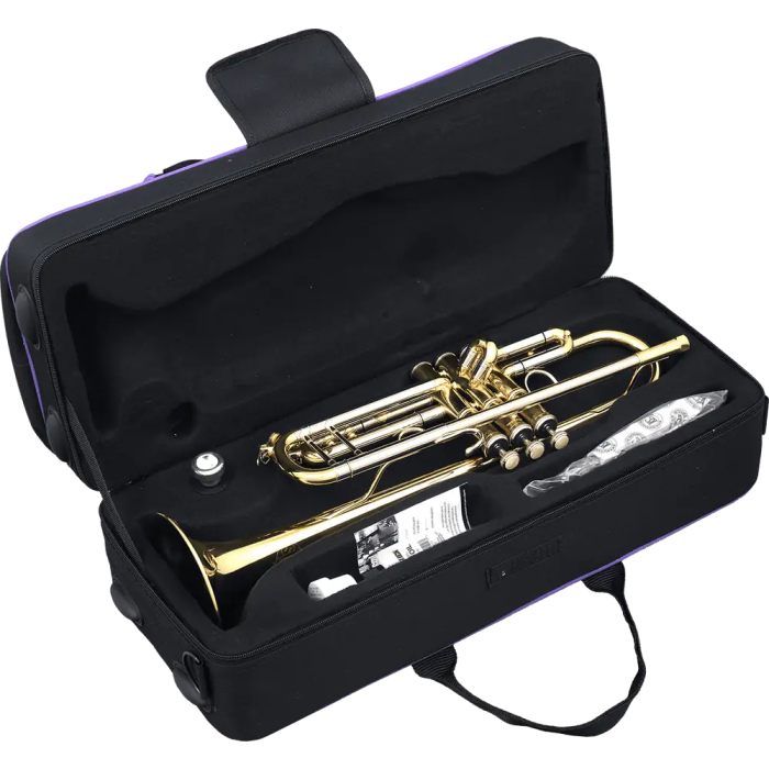 SML Trompeta Sib Tp500 Latón Lacado Tonalidad Sib 1