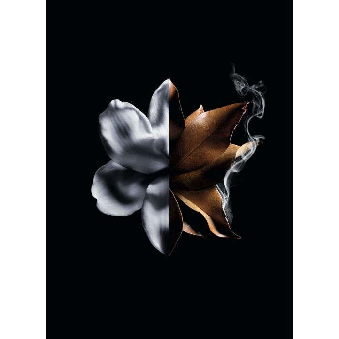 Givenchy L'Interdit Absolu Intense Eau de Parfum Vapo 50 ml 4