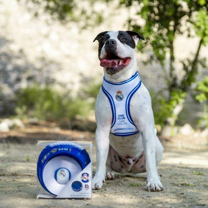 Real Madrid Set para Mascotas de Bienvenida 21.0 x 21.0 x 8.8 cm Color Azul 6