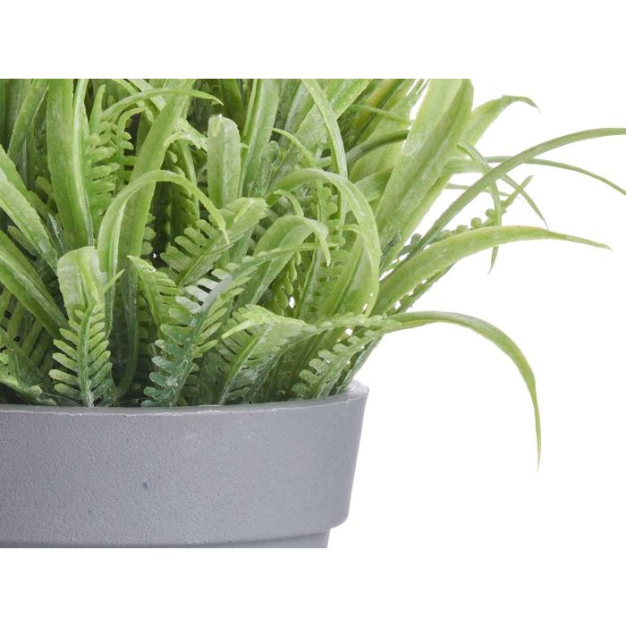 Maceta Lavanda Surtidos Ibergarden 14x21x14cm (24 Unidades) 3 Maceta Lavanda Surtidos Ibergarden 14x21x14cm (24 Unidades) 3