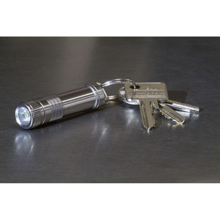 True Micro Linterna Llavero AAA 50 Lúmenes Resistente al Agua Funciona con 1 Batería AAA 5 True Micro Linterna Llavero AAA 50 Lúmenes Resistente al Agua Funciona con 1 Batería AAA 5