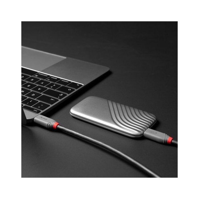 Lindy 2m USB 4 240W Type C Cable, Anthra Line 3