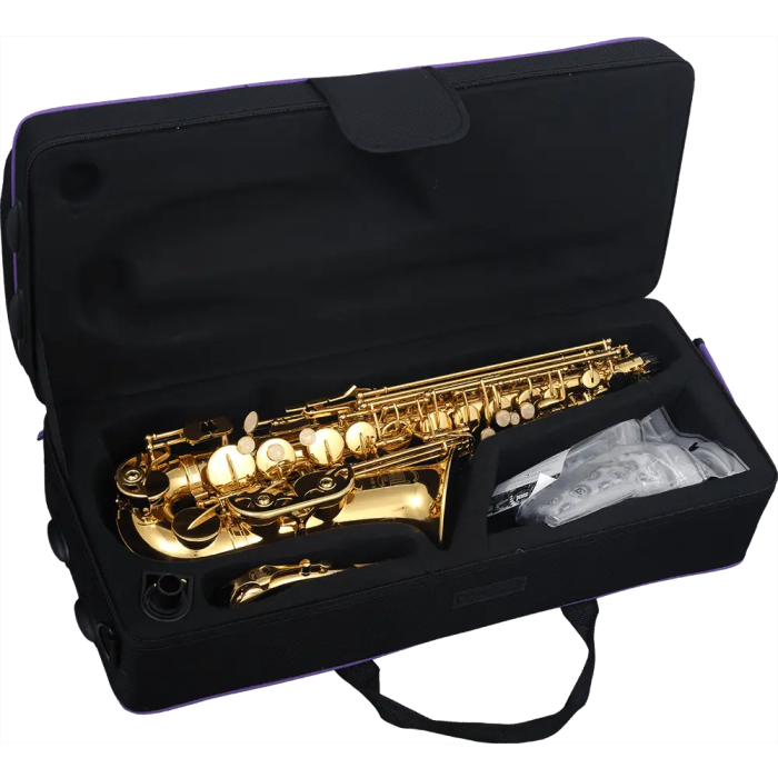 SML Saxofón Alto A420-II Dorado Lacado 1