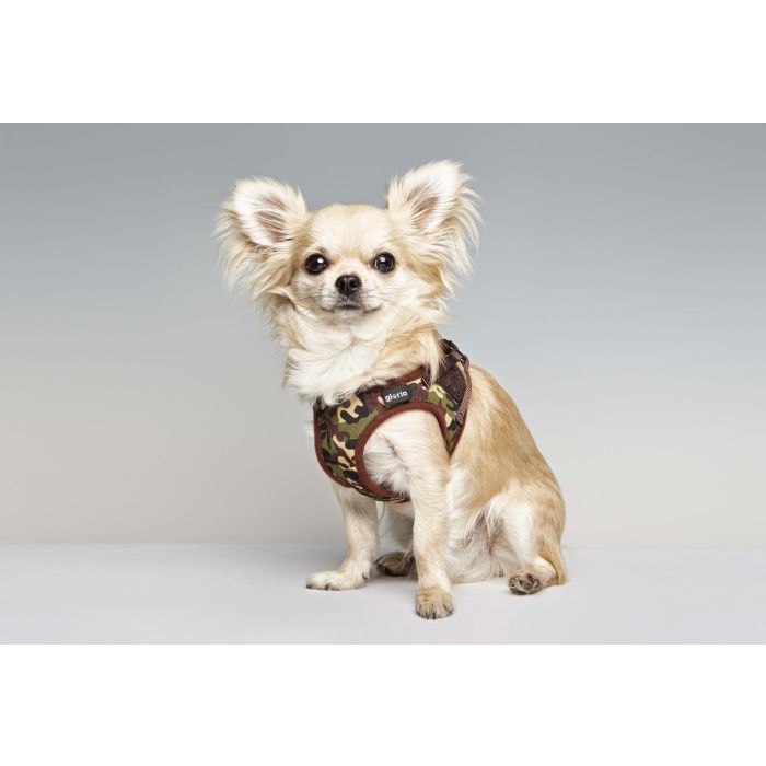 Gloria Petral para Perro Camuflaje Verde Talla L Cuello 33-44 cm con Ajuste Velcro, Cierre Rápido, Malla Transpirable y Acolchado 0 Gloria Petral para Perro Camuflaje Verde Talla L Cuello 33-44 cm con Ajuste Velcro, Cierre Rápido, Malla Transpirable y Acolchado 0