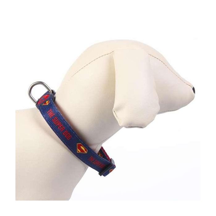Dc Pets Collar para Perros Talla XS-S Azul 3