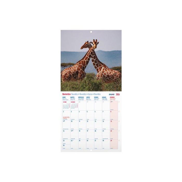 Calendario (2026) Dohe Pared Imagenes Mensual Para Escribir 300X300 Fauna Salvaje
