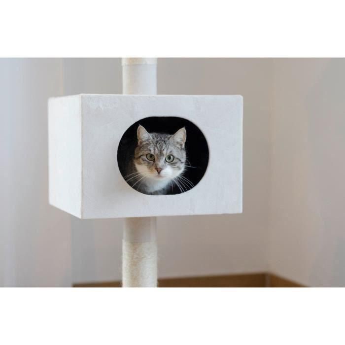 KERBL - Árbol para gatos FERDI - 38 x 38 x 240 a 260 cm - Blanco - Sisal 5 KERBL - Árbol para gatos FERDI - 38 x 38 x 240 a 260 cm - Blanco - Sisal 5