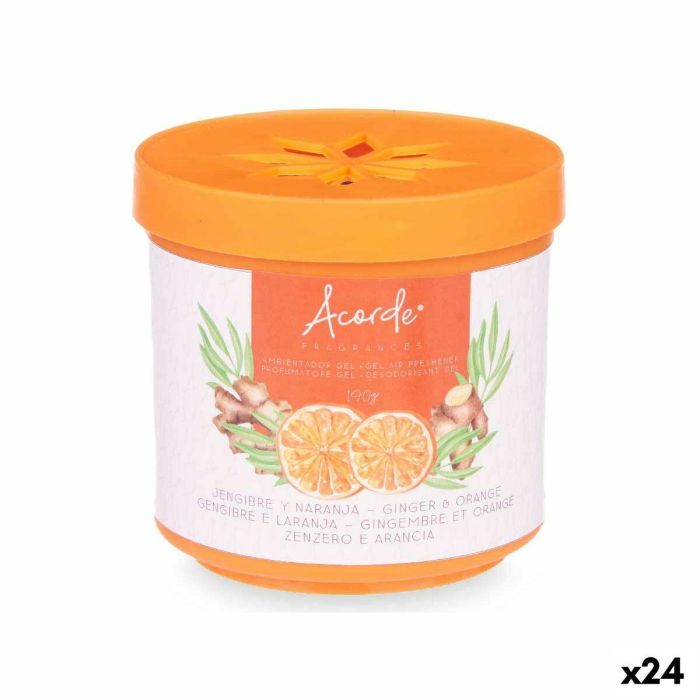 Ambientador Naranja Jengibre 190 g (24 Unidades)