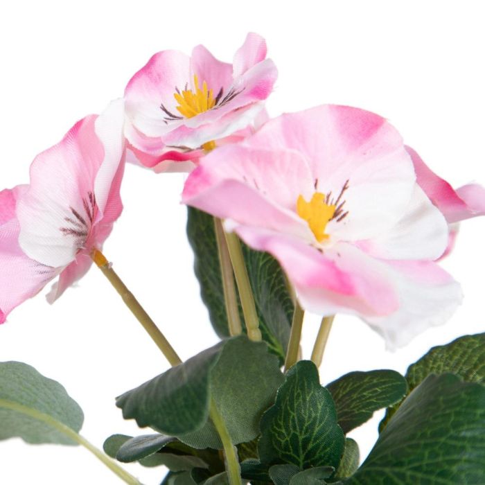 Planta Pensamiento 3/M Blanco 19 X 19 X 20 cm