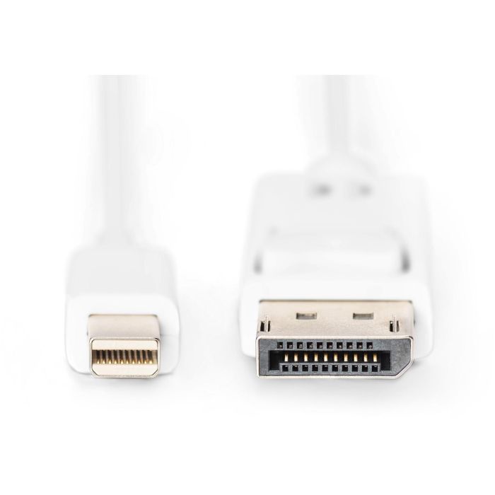 Cable DisplayPort Mini a DisplayPort Digitus AK-340102-020-W Blanco 2 m 1 Cable DisplayPort Mini a DisplayPort Digitus AK-340102-020-W Blanco 2 m 1