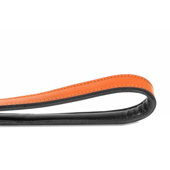 Gloria Correa Piel Auténtica Acolchada para Perro 100 cm x 18 mm, Suave, Mosquetón Robusto Retráctil, 3 Capas, Cosido Reforzado