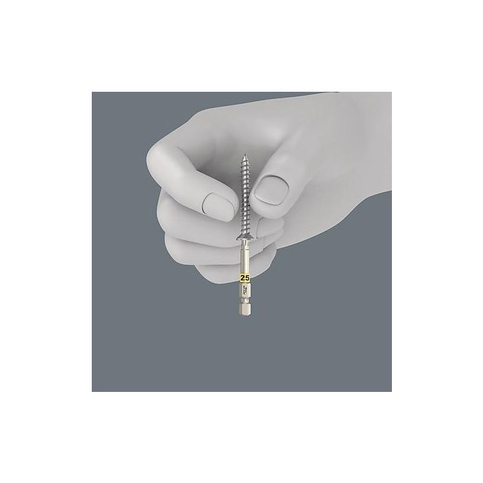 Wera 05056470001 Bit-Check 6 Wood TORX HF Juego de Puntas Torx Plus TX20, TX25, TX30, TX40 con Funda de Transporte 2