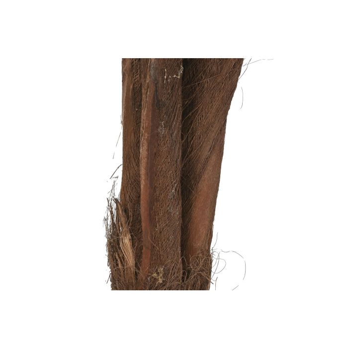 Planta Tropical DKD Home Decor Verde Marron 80 x 165 x 80 cm (2 Unidades) 2 Planta Tropical DKD Home Decor Verde Marron 80 x 165 x 80 cm (2 Unidades) 2