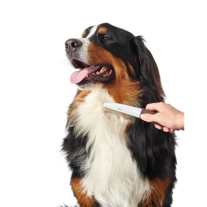 Hunter Peine de Púas Rotatorias para Perros y Gatos - Desenreda y Cuida Pelaje Largo y Medio - Antideslizante Talla M 3 Hunter Peine de Púas Rotatorias para Perros y Gatos - Desenreda y Cuida Pelaje Largo y Medio - Antideslizante Talla M 3