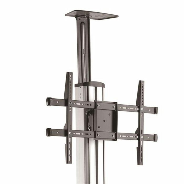 Trolley Startech STNDMTV70            3