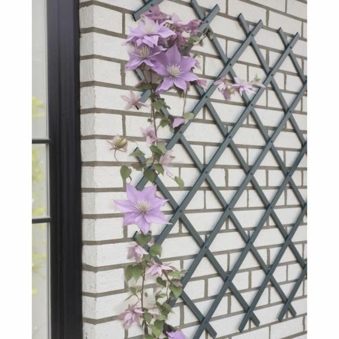 Nature NAT8711338407134 Enrejado Extensible Plástico Antracita 50 x 150 cm 2 Nature NAT8711338407134 Enrejado Extensible Plástico Antracita 50 x 150 cm 2