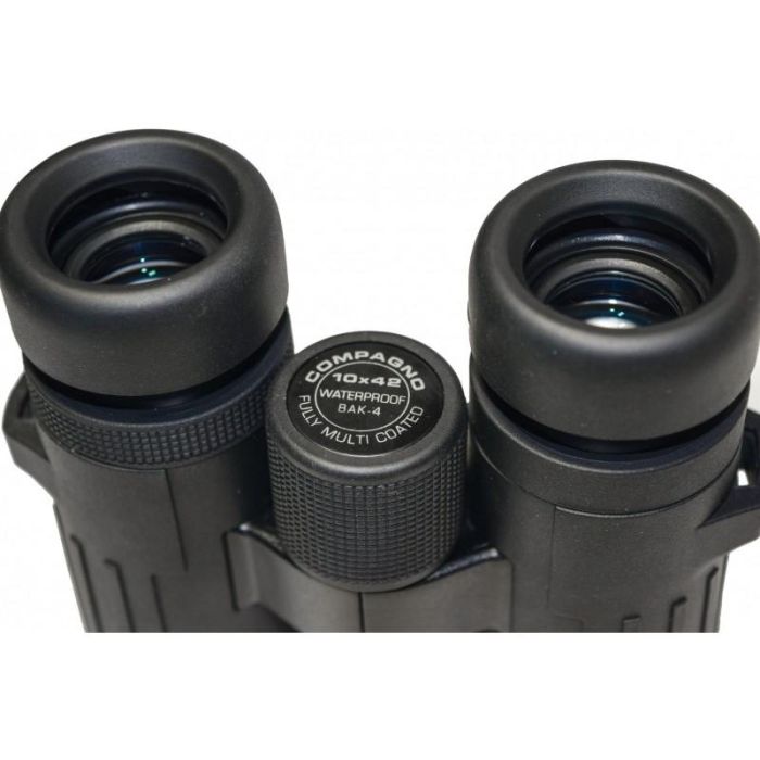 Braun Compagno 10x42 WP 2