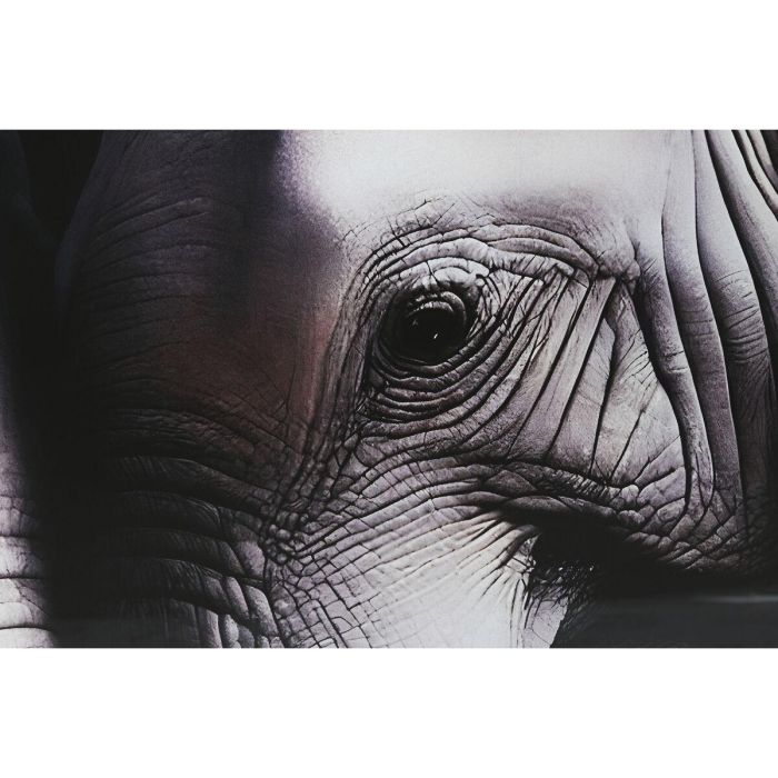 Cuadro Home ESPRIT Cristal Templado 150 x 0,4 x 100 cm 1