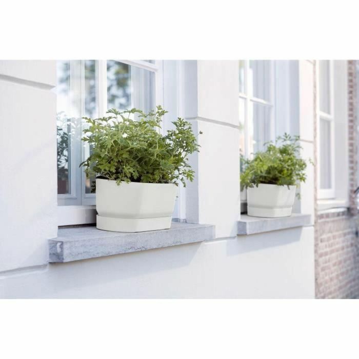 Plantera ovalada Greenville - Plastic - Ø70 - Green de hoja 2 Plantera ovalada Greenville - Plastic - Ø70 - Green de hoja 2
