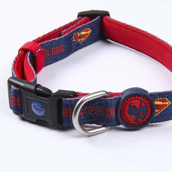 Collar para Perro DC Pets 1