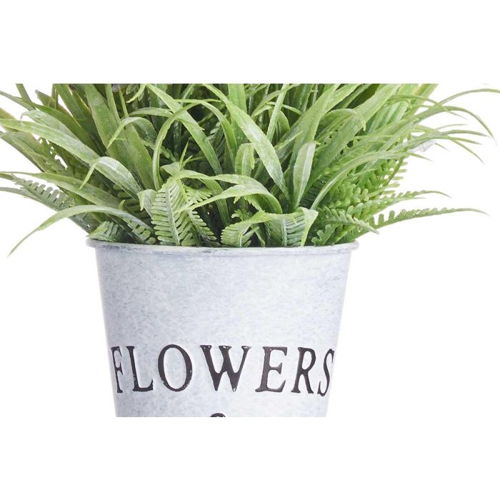 Planta Lavanda Bote Metal 22Cm Ibergarden (12 Unidades) 3 Planta Lavanda Bote Metal 22Cm Ibergarden (12 Unidades) 3