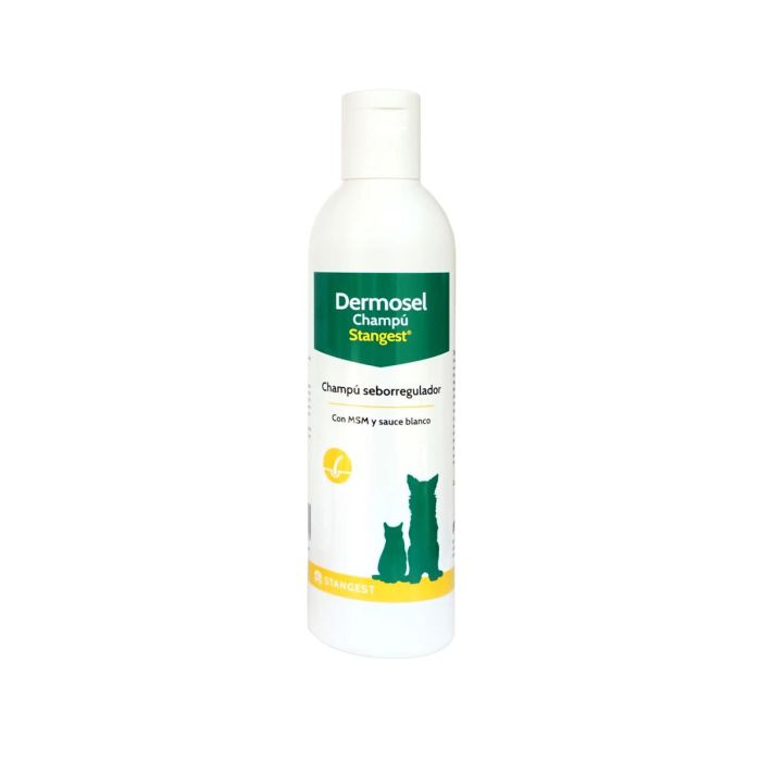 Stangest Dermosel Champú 250 mL