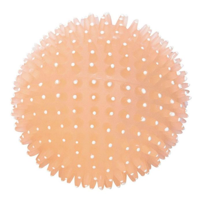 Pelota Con Sonido Brilla En La Oscuridad Diam 9 cm 1 Pelota Con Sonido Brilla En La Oscuridad Diam 9 cm 1
