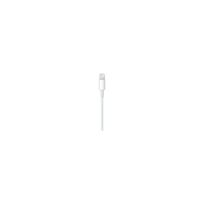 Apple Cable USB a Lightning 0.5M ME291ZM/A 1