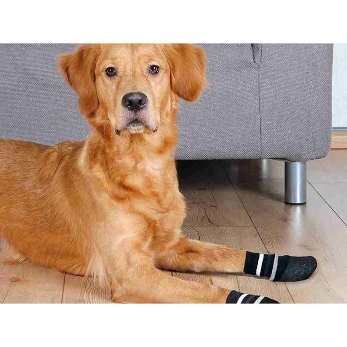 Calcetines Trixie Negro M/L Perro 3 Calcetines Trixie Negro M/L Perro 3
