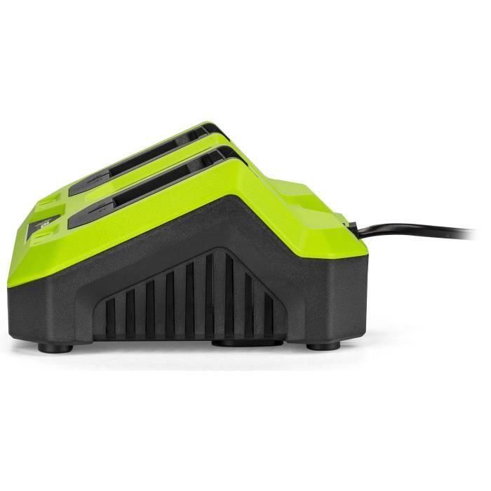 Cargador doble - FIELDMANN - Para baterías de 20 V - Carga 2 Ah en 60 min - Compatible con 2 Ah, 4 Ah 2 Cargador doble - FIELDMANN - Para baterías de 20 V - Carga 2 Ah en 60 min - Compatible con 2 Ah, 4 Ah 2