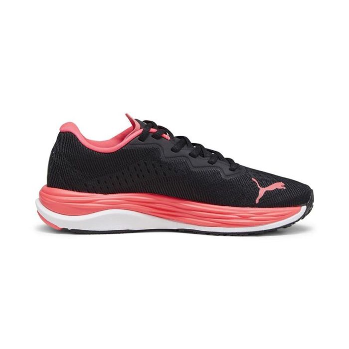 Zapatillas de Running para Adultos Puma 376262 19 Negro
