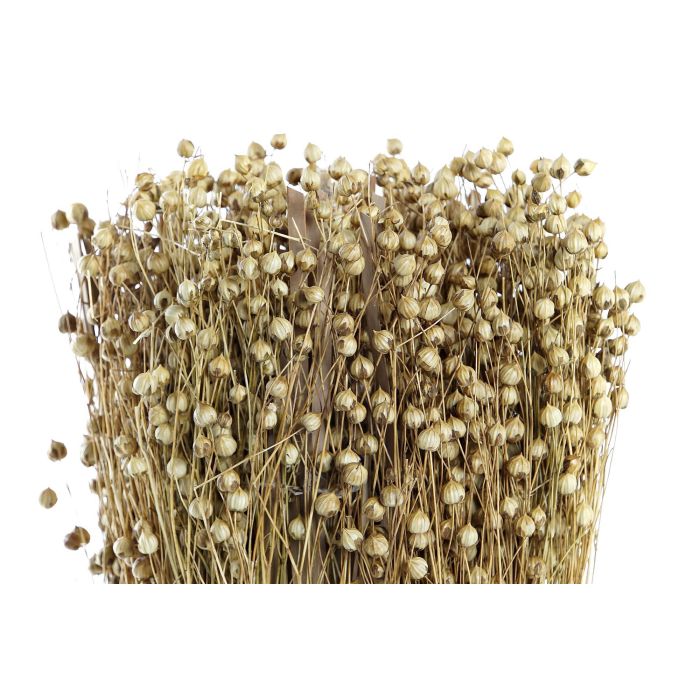 DKD Home Decor Bouquet Shabby Natural Flor Seca Tishi Linaza 12 x 31 x 12 cm (12 Unidades) 1 DKD Home Decor Bouquet Shabby Natural Flor Seca Tishi Linaza 12 x 31 x 12 cm (12 Unidades) 1