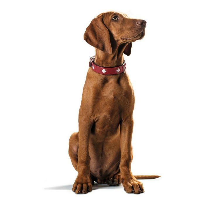 Collar Swiss 35-43 cm Rojo-Negro 3 Collar Swiss 35-43 cm Rojo-Negro 3