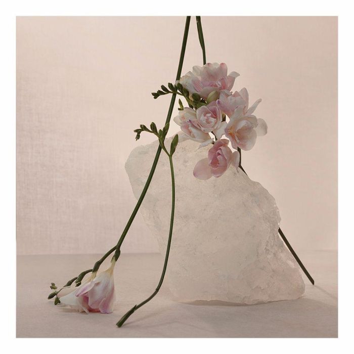 Adolfo Dominguez NUDE MUSK Eau de Parfum Vaporizador 60 ml Perfume Mujer Floral Amaderada 3