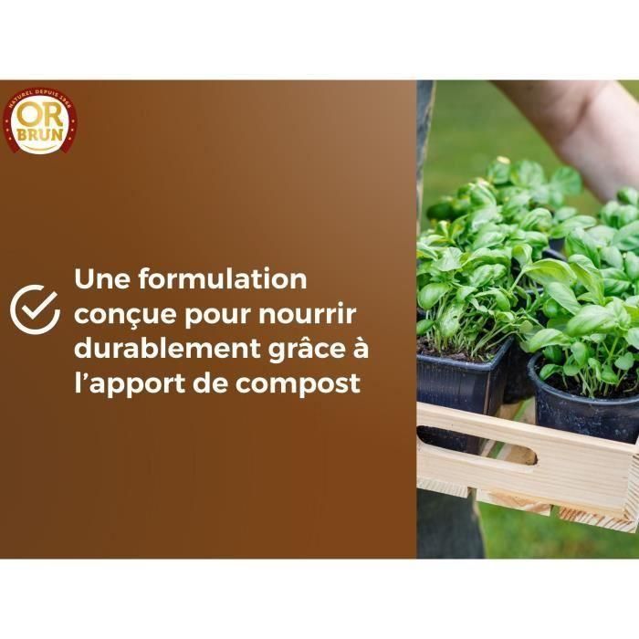 Tierra para hortalizas y plantas aromáticas - OR BRUN - OBRTARO6U - 6L - Crecimiento rápido 4 Tierra para hortalizas y plantas aromáticas - OR BRUN - OBRTARO6U - 6L - Crecimiento rápido 4