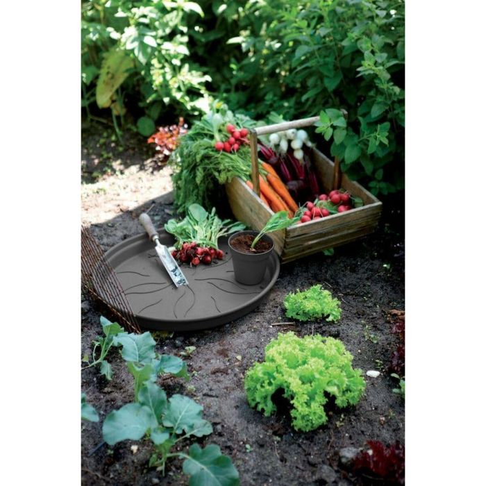 Maceta Elho Negro Plástico Redondo 4