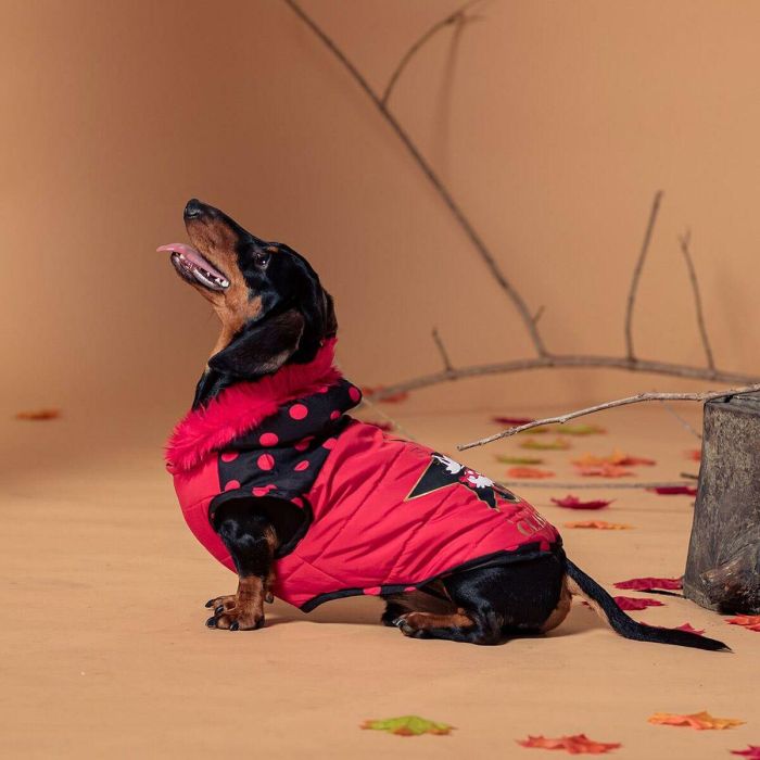 Abrigo acolchado para perro l minnie 5 Abrigo acolchado para perro l minnie 5