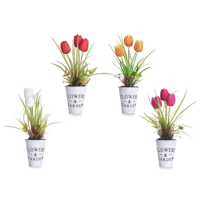 Planta Tulipan Bote Metal Surtidos Ibergarden 15x31x15cm (12 Unidades) 1 Planta Tulipan Bote Metal Surtidos Ibergarden 15x31x15cm (12 Unidades) 1