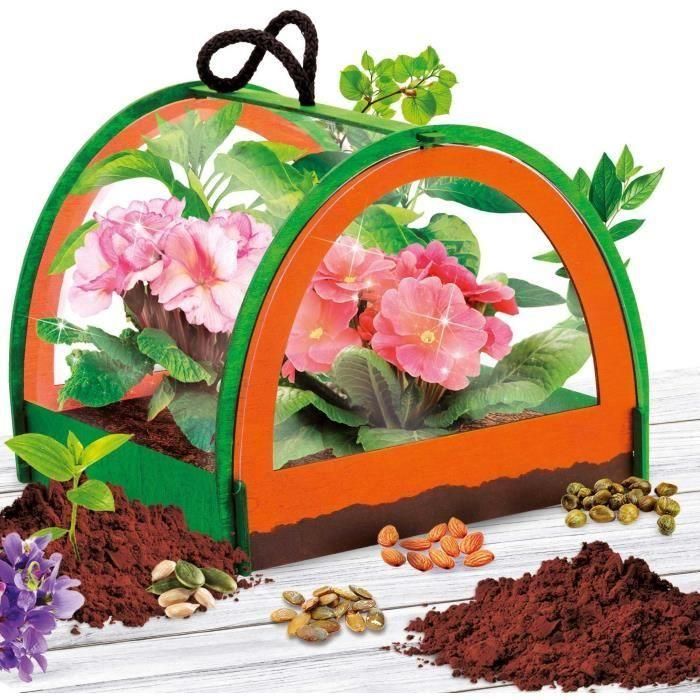 Lisciani Giochi LIS8008324105007 I'M A GENIUS POCKET - Kit Científico Descubrimiento Botánico, Invernadero Miniatura y Experimentos 1