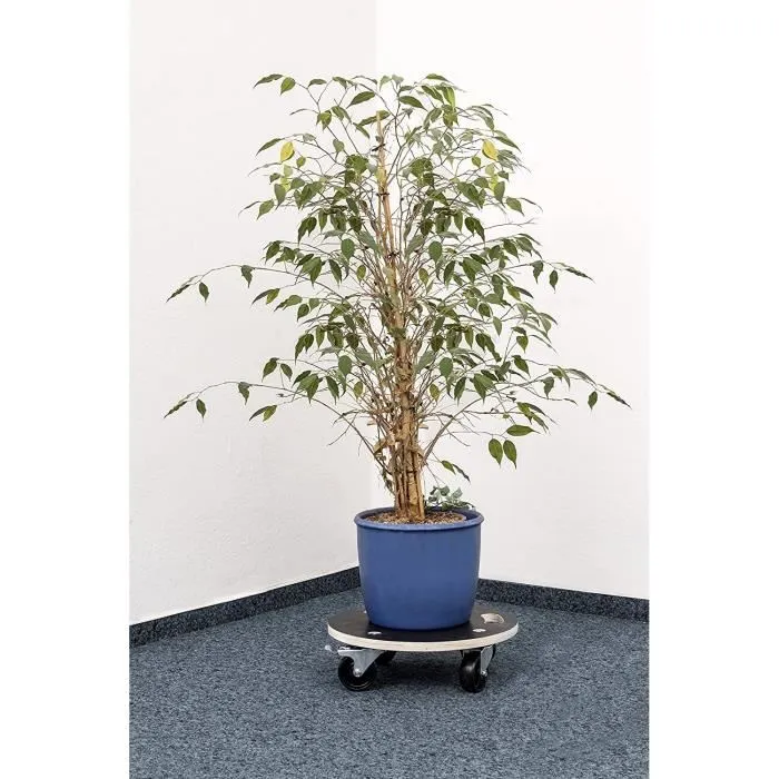 Meister Carro sobre ruedas 200 kg 380 mm 1