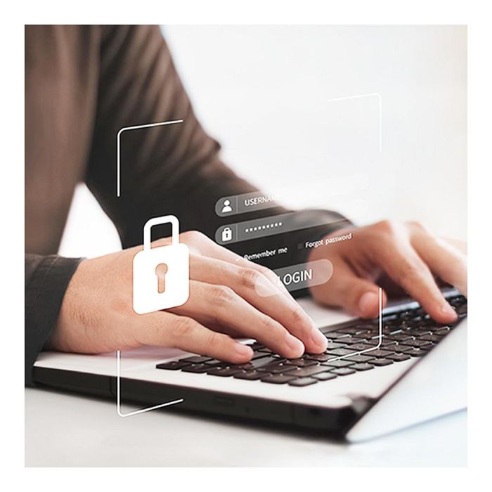 Punto de Acceso ZyXEL NWA55AXE-EU0102F Blanco